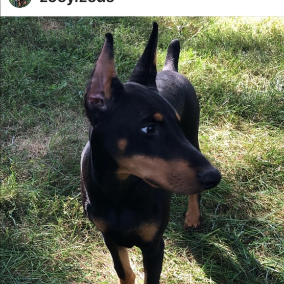 Meet your Posher, Darren - Picture 1 of 1